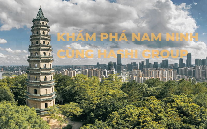 Nam Ninh