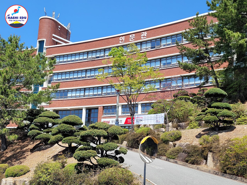 GIỚI THIỆU TRƯỜNG ĐẠI HỌC SILLA 신라대학교 - DU HỌC HÀN QUỐC