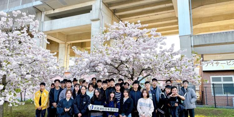 GIỚI THIỆU TRƯỜNG NHẬT NGỮ MUSASHI URAWA 武蔵浦和日本語学院 - DU HỌC NHẬT BẢN