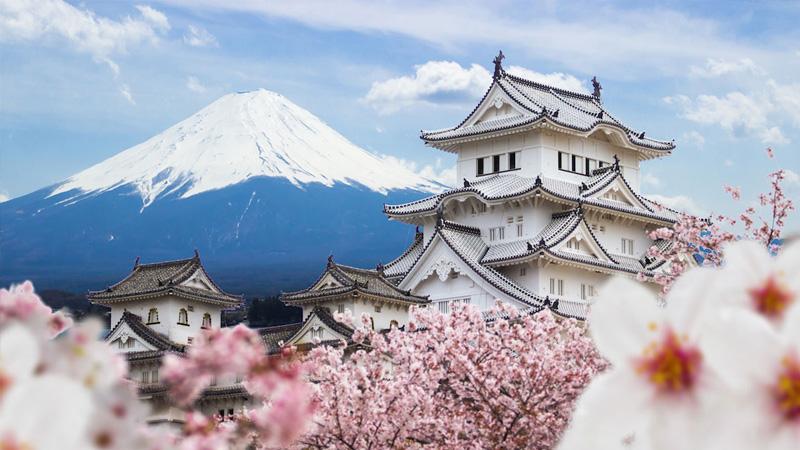 TỔNG QUAN QUY TRÌNH DU HỌC NHẬT BẢN 2025 - 2026